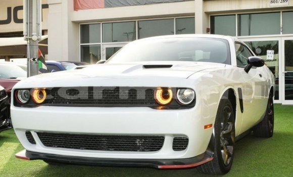 Acheter Import Voiture Dodge Challenger Blanc à Import - Dubai, Région de la Bouenza