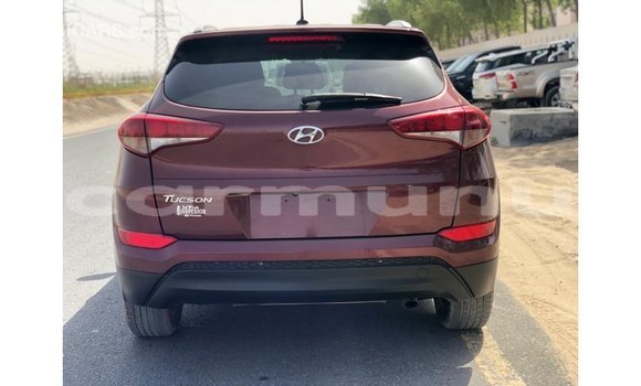 Acheter Import Voiture Hyundai Tucson Rouge à Import - Dubai, Région de la Bouenza Acheter Import Voiture Hyundai Tucson Rouge à Import - Dubai, Région de la Bouenza