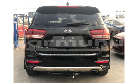 Buy Import Kia Sorento Black Car in Import - Dubai in Region of Bouenza Buy Import Kia Sorento Black Car in Import - Dubai in Region of Bouenza