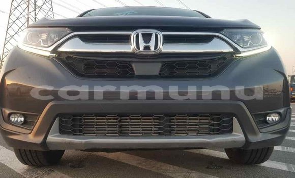 Acheter Import Moto Honda C Autre à Import - Dubai, Région de la Bouenza Acheter Import Moto Honda C Autre à Import - Dubai, Région de la Bouenza