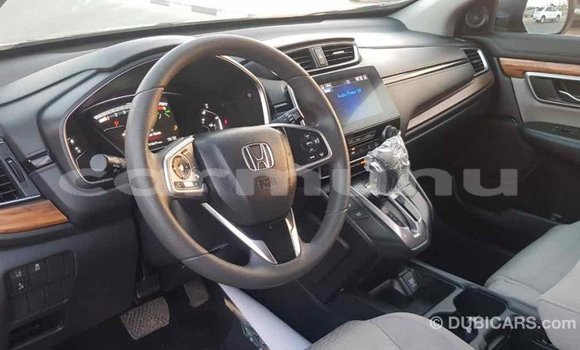 Acheter Import Moto Honda C Autre à Import - Dubai, Région de la Bouenza Acheter Import Moto Honda C Autre à Import - Dubai, Région de la Bouenza