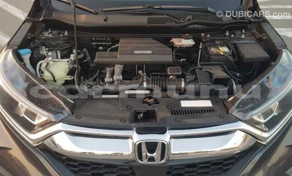 Acheter Import Moto Honda C Autre à Import - Dubai, Région de la Bouenza