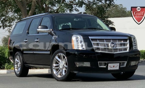 Buy Import Cadillac Escalade Black Car in Import - Dubai in Region of Bouenza Buy Import Cadillac Escalade Black Car in Import - Dubai in Region of Bouenza