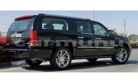 Buy Import Cadillac Escalade Black Car in Import - Dubai in Region of Bouenza Buy Import Cadillac Escalade Black Car in Import - Dubai in Region of Bouenza