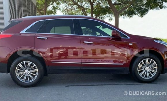 Acheter Import Voiture Cadillac XT5 Rouge à Import - Dubai, Région de la Bouenza Acheter Import Voiture Cadillac XT5 Rouge à Import - Dubai, Région de la Bouenza