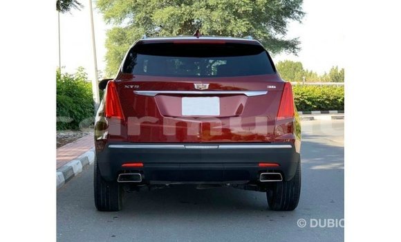 Acheter Import Voiture Cadillac XT5 Rouge à Import - Dubai, Région de la Bouenza Acheter Import Voiture Cadillac XT5 Rouge à Import - Dubai, Région de la Bouenza
