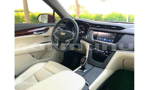 Acheter Import Voiture Cadillac XT5 Rouge à Import - Dubai, Région de la Bouenza Acheter Import Voiture Cadillac XT5 Rouge à Import - Dubai, Région de la Bouenza