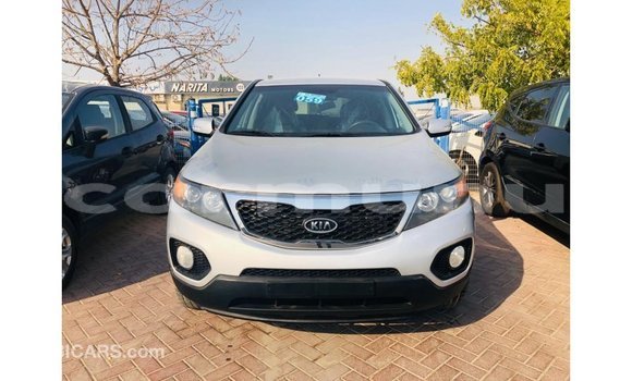 Buy Import Kia Sorento Other Car in Import - Dubai in Region of Bouenza Buy Import Kia Sorento Other Car in Import - Dubai in Region of Bouenza