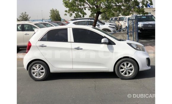 Buy Import Kia Picanto White Car in Import - Dubai in Region of Bouenza Buy Import Kia Picanto White Car in Import - Dubai in Region of Bouenza