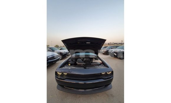 Buy Import Dodge Challenger Black Car in Import - Dubai in Region of Bouenza Buy Import Dodge Challenger Black Car in Import - Dubai in Region of Bouenza