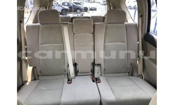 Buy Import Toyota Prado Brown Car in Import - Dubai in Region of Bouenza Buy Import Toyota Prado Brown Car in Import - Dubai in Region of Bouenza