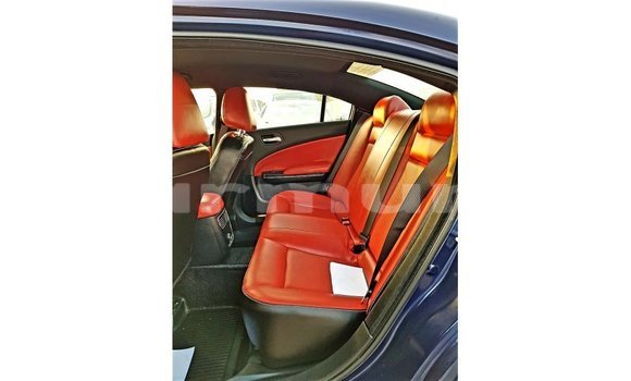 Buy Import Dodge Charger Blue Car in Import - Dubai in Region of Bouenza Buy Import Dodge Charger Blue Car in Import - Dubai in Region of Bouenza