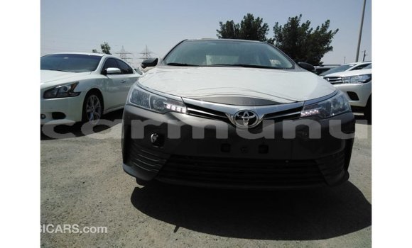Buy Import Toyota Corolla Other Car in Import - Dubai in Region of Bouenza Buy Import Toyota Corolla Other Car in Import - Dubai in Region of Bouenza