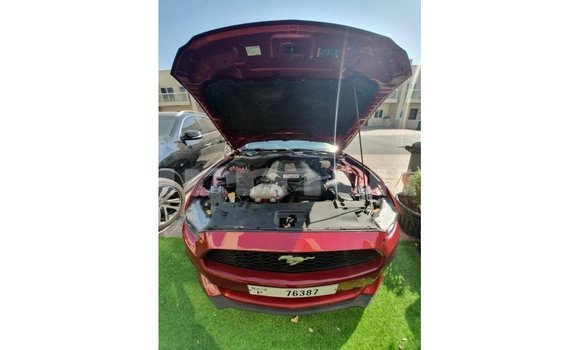 Buy Import Ford Mustang Red Car in Import - Dubai in Region of Bouenza Buy Import Ford Mustang Red Car in Import - Dubai in Region of Bouenza