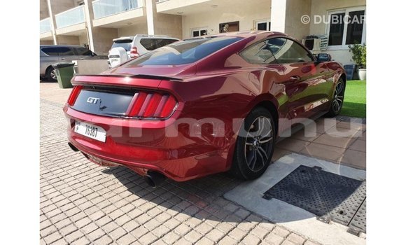 Buy Import Ford Mustang Red Car in Import - Dubai in Region of Bouenza Buy Import Ford Mustang Red Car in Import - Dubai in Region of Bouenza