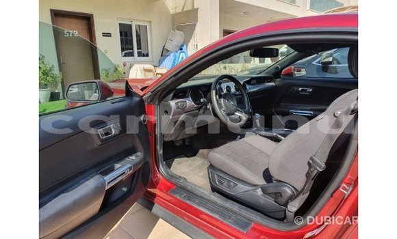 Buy Import Ford Mustang Red Car in Import - Dubai in Region of Bouenza Buy Import Ford Mustang Red Car in Import - Dubai in Region of Bouenza