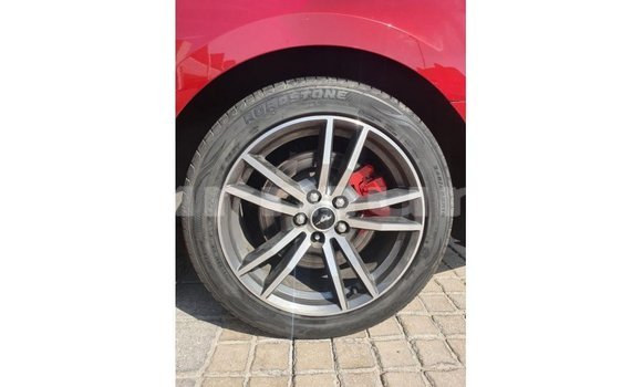 Buy Import Ford Mustang Red Car in Import - Dubai in Region of Bouenza Buy Import Ford Mustang Red Car in Import - Dubai in Region of Bouenza