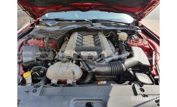 Buy Import Ford Mustang Red Car in Import - Dubai in Region of Bouenza Buy Import Ford Mustang Red Car in Import - Dubai in Region of Bouenza