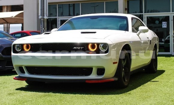 Acheter Import Voiture Dodge Challenger Blanc à Import - Dubai, Région de la Bouenza
