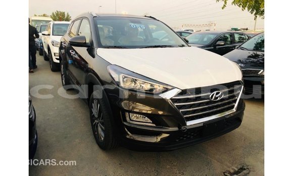 Acheter Import Voiture Hyundai Tucson Marron à Import - Dubai, Région de la Bouenza Acheter Import Voiture Hyundai Tucson Marron à Import - Dubai, Région de la Bouenza