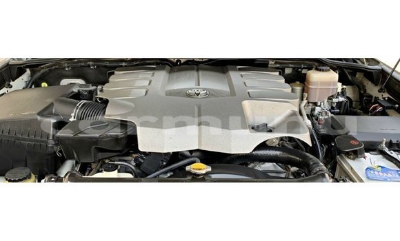 Acheter Import Voiture Toyota Land Cruiser Blanc à Import - Dubai, Région de la Bouenza Acheter Import Voiture Toyota Land Cruiser Blanc à Import - Dubai, Région de la Bouenza
