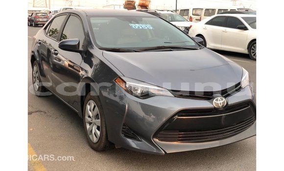 Buy Import Toyota Corolla Other Car in Import - Dubai in Region of Bouenza Buy Import Toyota Corolla Other Car in Import - Dubai in Region of Bouenza