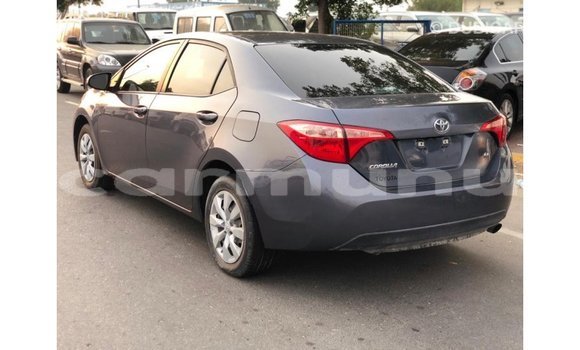 Buy Import Toyota Corolla Other Car in Import - Dubai in Region of Bouenza Buy Import Toyota Corolla Other Car in Import - Dubai in Region of Bouenza