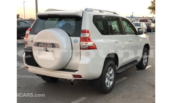 Acheter Import Voiture Toyota Prado Blanc à Import - Dubai, Région de la Bouenza Acheter Import Voiture Toyota Prado Blanc à Import - Dubai, Région de la Bouenza