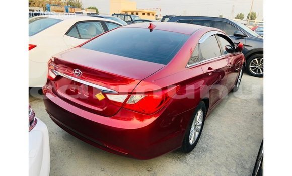 Buy Import Hyundai Sonata Red Car in Import - Dubai in Region of Bouenza Buy Import Hyundai Sonata Red Car in Import - Dubai in Region of Bouenza