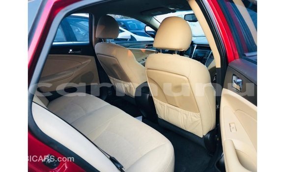 Buy Import Hyundai Sonata Red Car in Import - Dubai in Region of Bouenza Buy Import Hyundai Sonata Red Car in Import - Dubai in Region of Bouenza