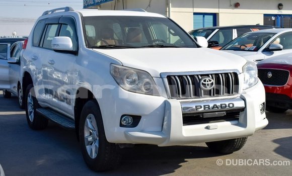 Buy Import Toyota Prado White Car in Import - Dubai in Region of Bouenza Buy Import Toyota Prado White Car in Import - Dubai in Region of Bouenza