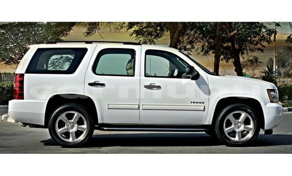 Buy Import Chevrolet Tahoe White Car in Import - Dubai in Region of Bouenza Buy Import Chevrolet Tahoe White Car in Import - Dubai in Region of Bouenza