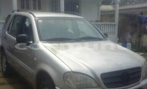 Acheter Occasion Voiture Mercedes-Benz ML–Class Gris à Pointe–Noire, Région du Kouilou