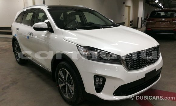 Buy Import Kia Sorento White Car in Import - Dubai in Region of Bouenza Buy Import Kia Sorento White Car in Import - Dubai in Region of Bouenza