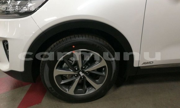 Buy Import Kia Sorento White Car in Import - Dubai in Region of Bouenza Buy Import Kia Sorento White Car in Import - Dubai in Region of Bouenza