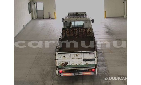 Buy Import Isuzu FTR 850 White Truck in Import - Dubai in Region of Bouenza Buy Import Isuzu FTR 850 White Truck in Import - Dubai in Region of Bouenza