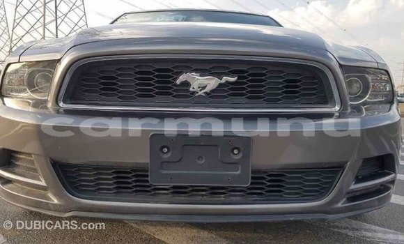 Buy Import Ford Mustang Other Car in Import - Dubai in Region of Bouenza Buy Import Ford Mustang Other Car in Import - Dubai in Region of Bouenza