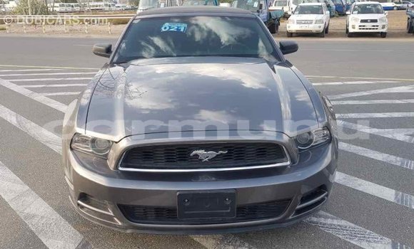 Buy Import Ford Mustang Other Car in Import - Dubai in Region of Bouenza Buy Import Ford Mustang Other Car in Import - Dubai in Region of Bouenza