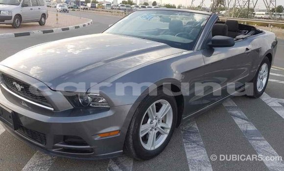 Buy Import Ford Mustang Other Car in Import - Dubai in Region of Bouenza Buy Import Ford Mustang Other Car in Import - Dubai in Region of Bouenza