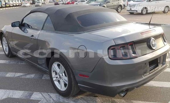 Buy Import Ford Mustang Other Car in Import - Dubai in Region of Bouenza Buy Import Ford Mustang Other Car in Import - Dubai in Region of Bouenza