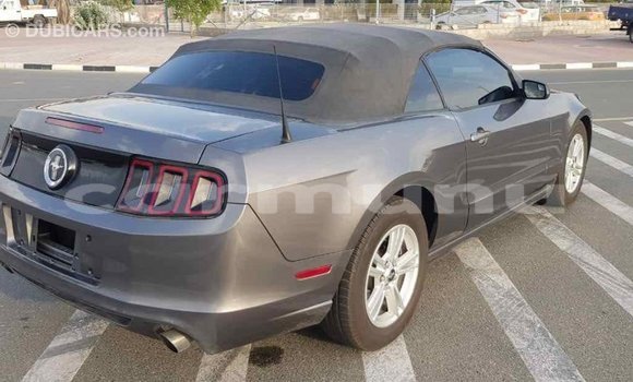 Buy Import Ford Mustang Other Car in Import - Dubai in Region of Bouenza Buy Import Ford Mustang Other Car in Import - Dubai in Region of Bouenza