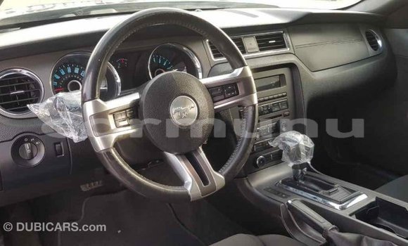 Buy Import Ford Mustang Other Car in Import - Dubai in Region of Bouenza Buy Import Ford Mustang Other Car in Import - Dubai in Region of Bouenza