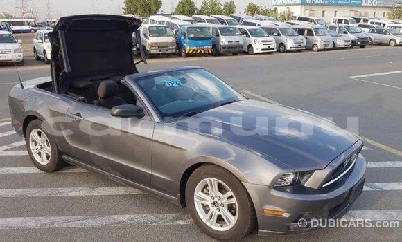 Buy Import Ford Mustang Other Car in Import - Dubai in Region of Bouenza Buy Import Ford Mustang Other Car in Import - Dubai in Region of Bouenza