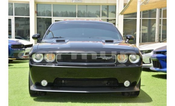 Buy Import Dodge Challenger Black Car in Import - Dubai in Region of Bouenza