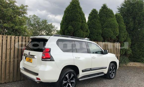 Buy Used Toyota Land Cruiser Prado Other Car in Brazzaville in Municipality of Brazzaville Buy Used Toyota Land Cruiser Prado Other Car in Brazzaville in Municipality of Brazzaville