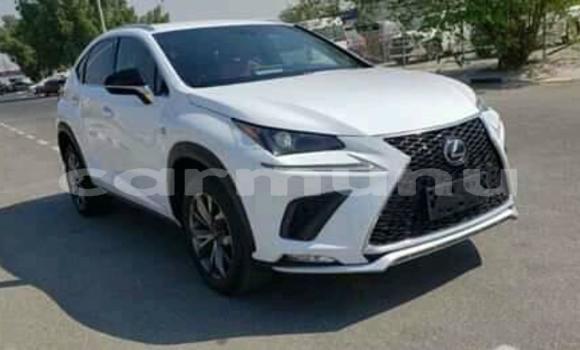 Acheter Occasion Voiture Lexus NX Blanc à Brazzaville, Commune de Brazzaville Acheter Occasion Voiture Lexus NX Blanc à Brazzaville, Commune de Brazzaville