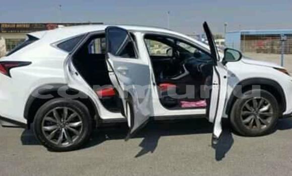 Acheter Occasion Voiture Lexus NX Blanc à Brazzaville, Commune de Brazzaville Acheter Occasion Voiture Lexus NX Blanc à Brazzaville, Commune de Brazzaville