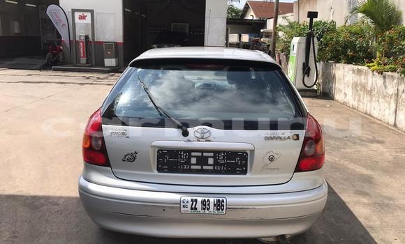 Acheter Occasion Voiture Toyota Corolla Gris à Pointe–Noire, Région du Kouilou Acheter Occasion Voiture Toyota Corolla Gris à Pointe–Noire, Région du Kouilou