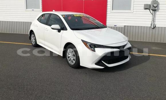 Buy Used Toyota Corolla White Car in Brazzaville in Municipality of Brazzaville
