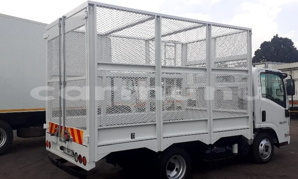 Buy Used Isuzu FTR 850 White Truck in Kinkala in pool Buy Used Isuzu FTR 850 White Truck in Kinkala in pool